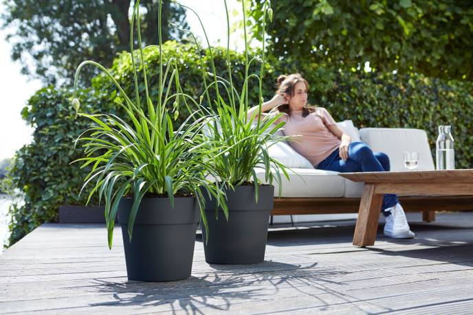 vibia straight rund 30cm anthrazit